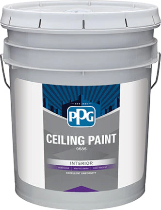 5 GALLON CP IN LX FL WH