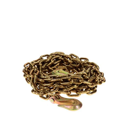 Ancra Grade 70 Chain w/Clevis Hooks - Image 6