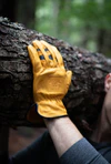 Bear Knuckles Bodacious - D357 - Image 3