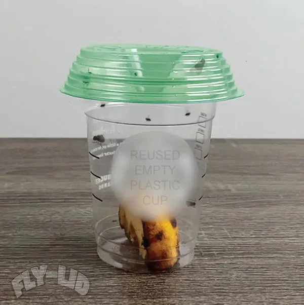Billy Bob Fly Lid - Image 3