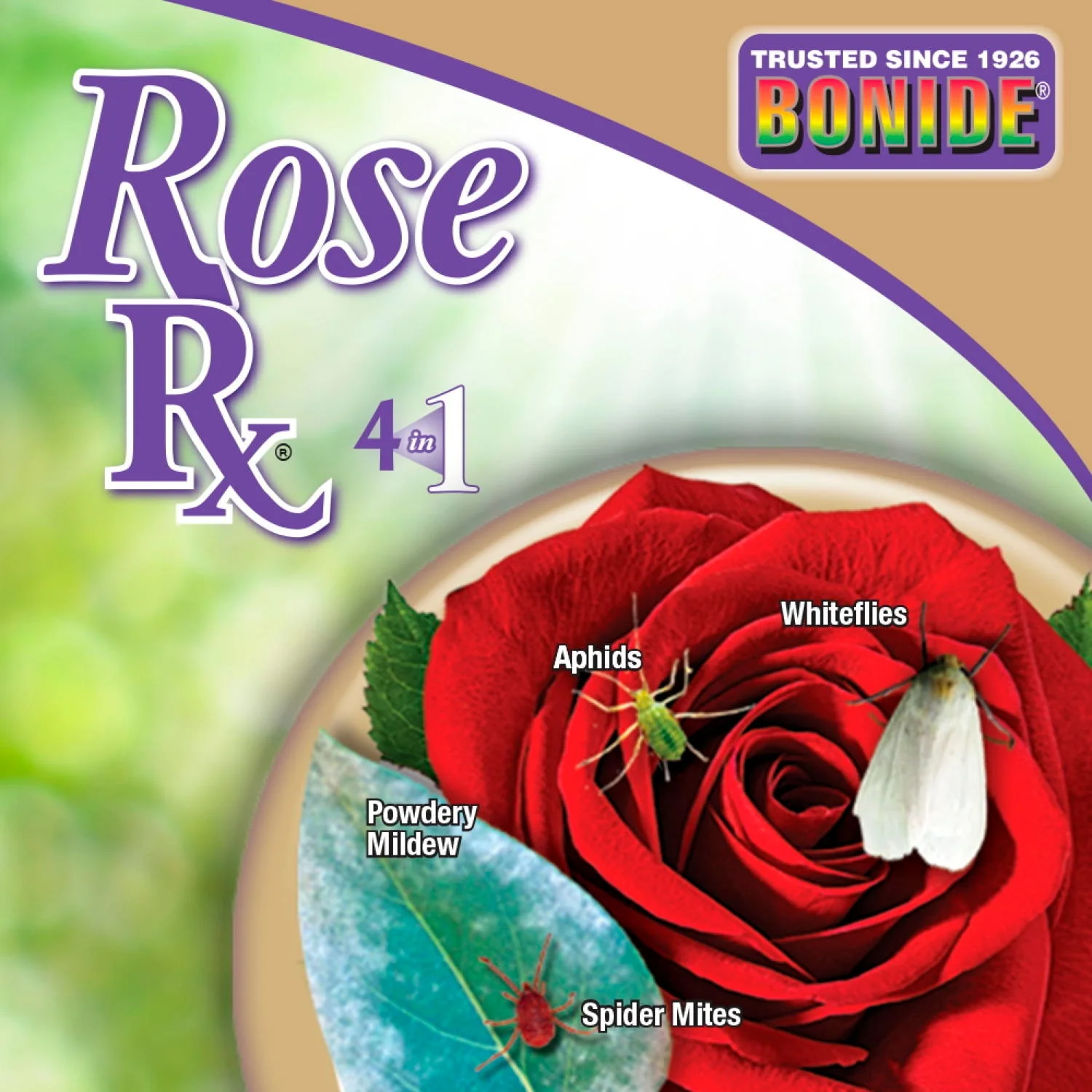 Bonide Captain Jack's Rose Rx 4-in-1 Ready-To-Use Fungicide, Insecticide - Image 2