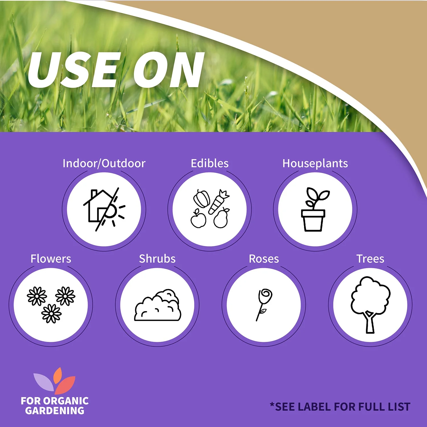 Bonide Captain Jack's Rose Rx 4-in-1 Ready-To-Use Fungicide, Insecticide - Image 3