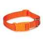 Casual Canine Nylon Dog Collars 14-20 in, Orange