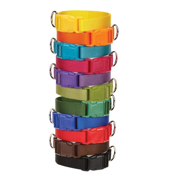 Casual Canine Nylon Dog Collars 14-20 in, Orange - Image 2