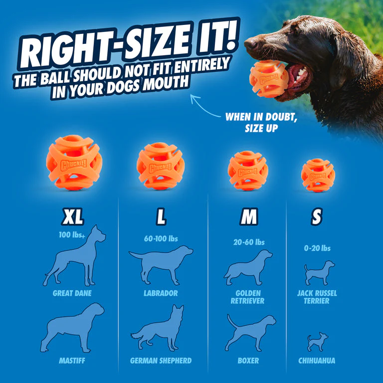 Chuckit! Air Fetch Ball - Image 2