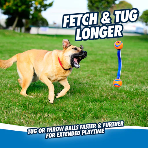 Chuckit! Ultra Duo Tug Dog Toy - Image 2