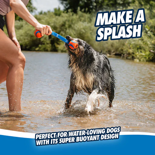 Chuckit! Ultra Duo Tug Dog Toy - Image 4