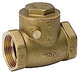 B & K Industries Swing Check Valve Brass Hard Seat Threaded 2"