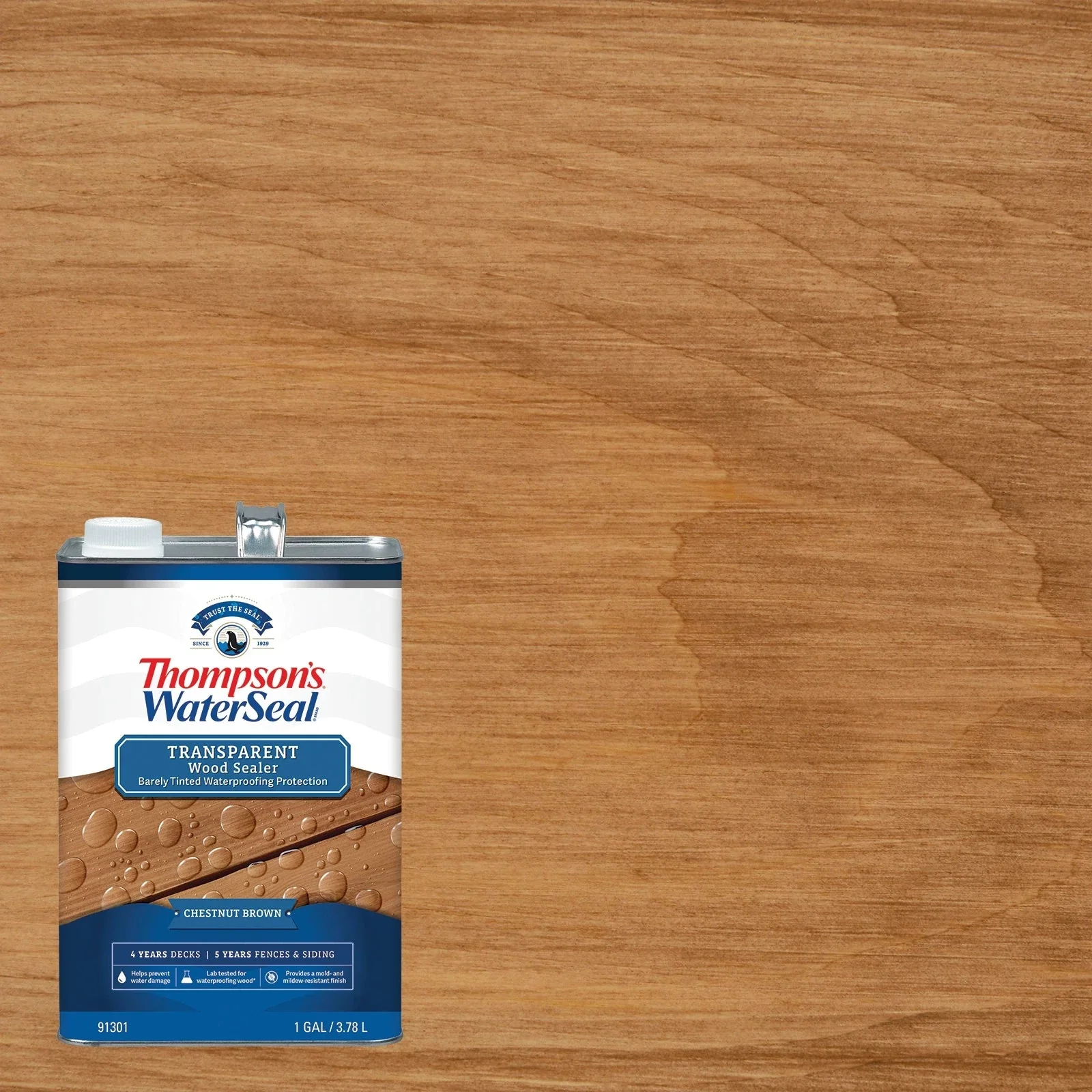 Thompson's WaterSeal Transparent Wood Sealer - Image 2