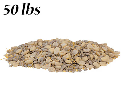 BestNest Wild Bird Seed Mix, Waste Free Blend - Image 2