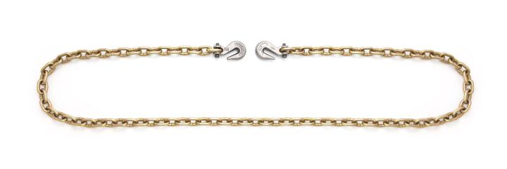 Campbell 5/16" x 16' Grade 70 Binder Chain w/Clevis Grab Hooks Each End