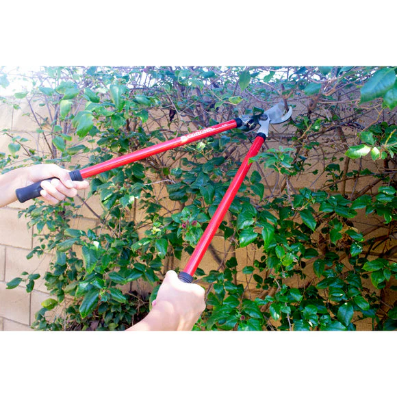 Corona Clipper Shrub Branch & Stem 3-Pc Set - Image 2