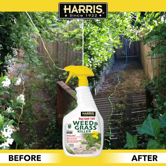 Harris Sea Salt 10X Weed & Grass Killer Spray - Image 3