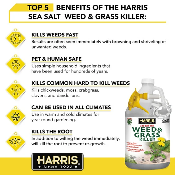 Harris Sea Salt 10X Weed & Grass Killer Spray - Image 7