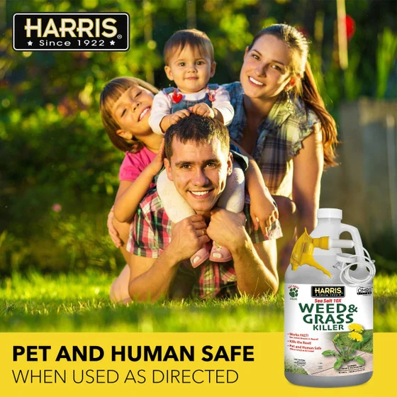 Harris Sea Salt 10X Weed & Grass Killer Spray - Image 8