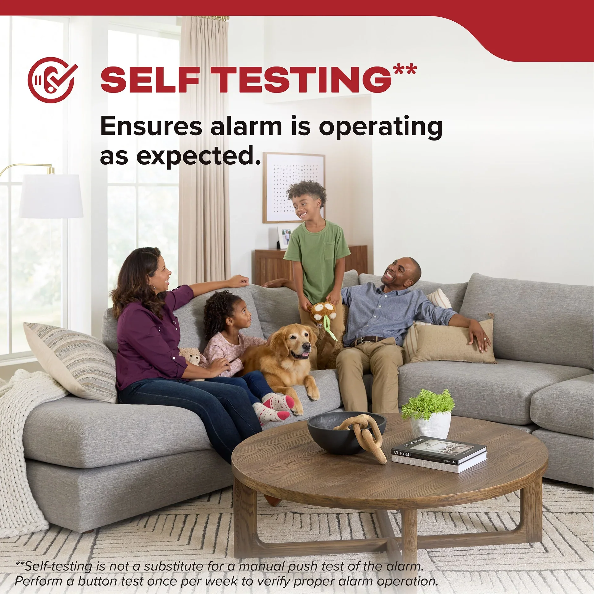 Kidde DETECT Hardwired with AA Backup Battery 20SAR - Image 5