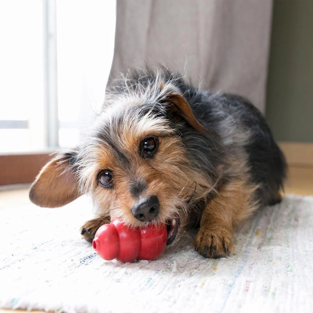 KONG Classic Dog Toy - Image 2