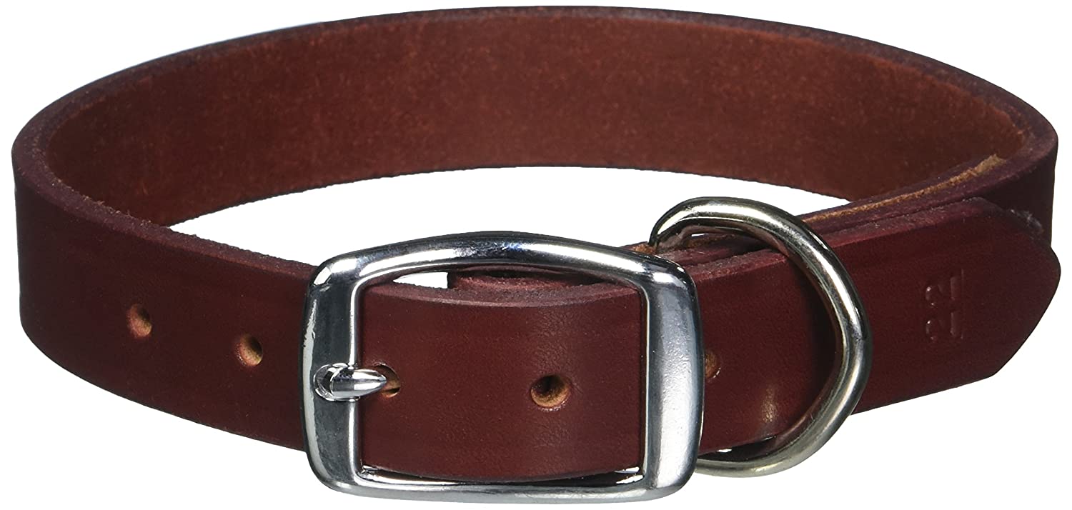Leather Brothers Premium Latigo Leather Dog Collar - Image 3