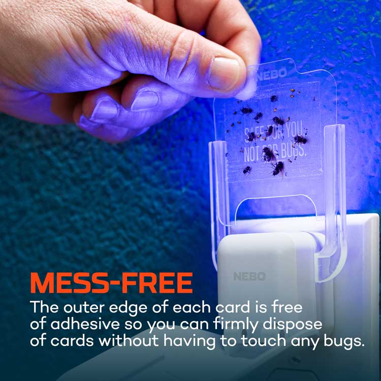 NEBO Flying Insect Trap Starter Kit - Image 3