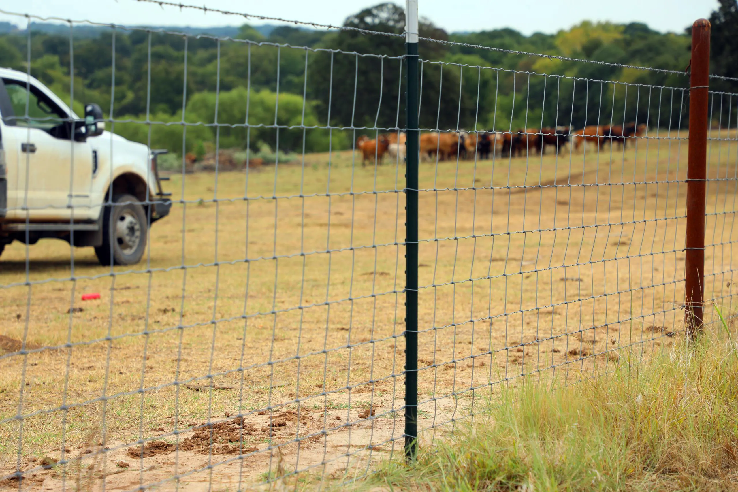 OKBRAND Premium Hinge-Joint Field Fence - Image 7