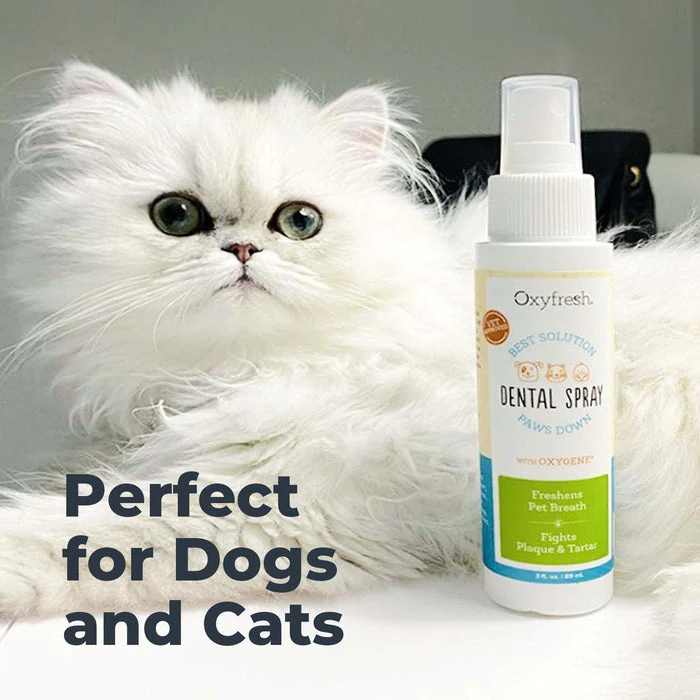 Oxyfresh Premium Pet Dental Spray - Fastest Way to Eliminate Pet Bad Breath - Image 7