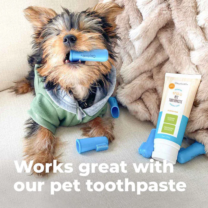 Oxyfresh Premium Pet Toothbrush Set - 6 Super Soft Finger Brushes - Image 3
