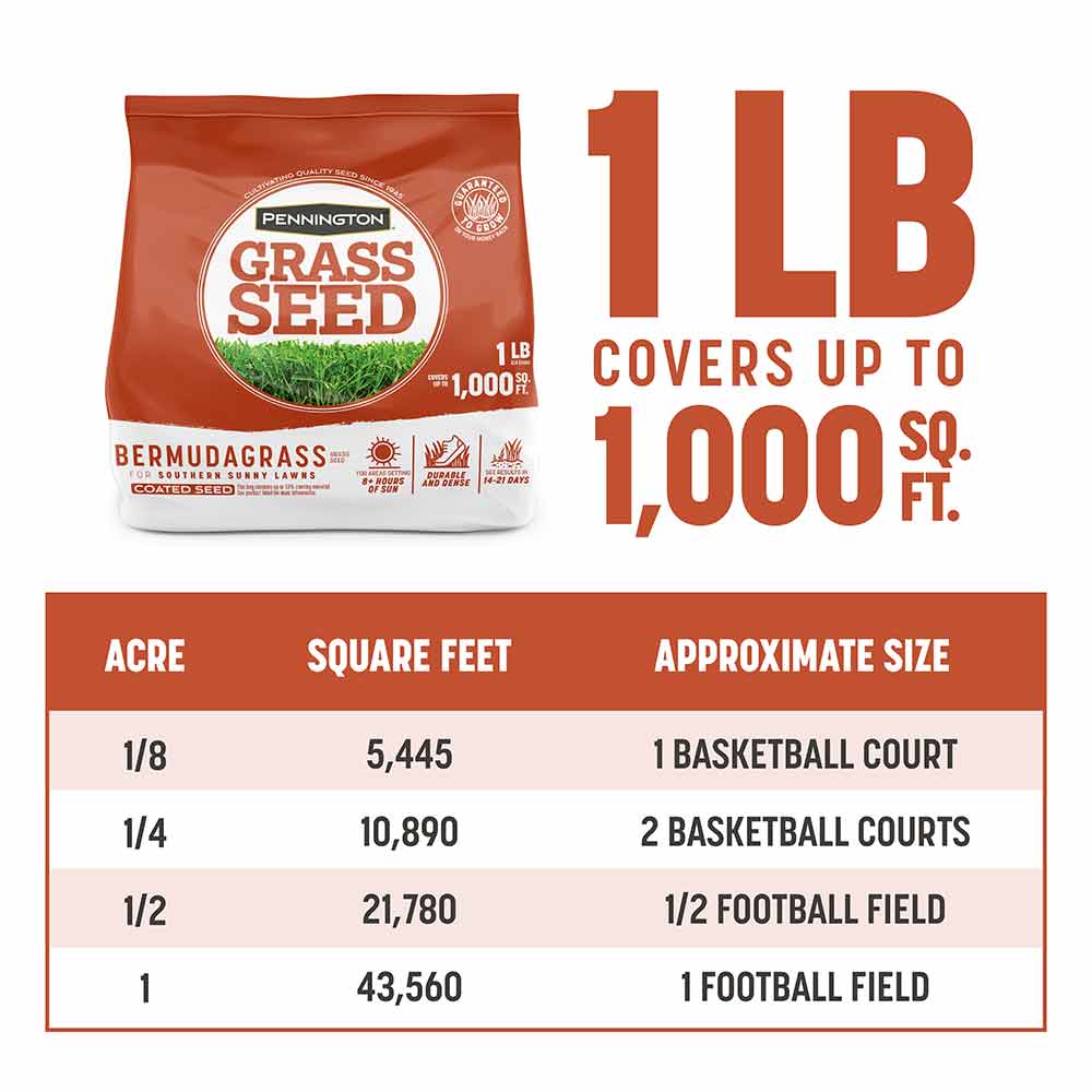 Pennington Bermudagrass - Image 4