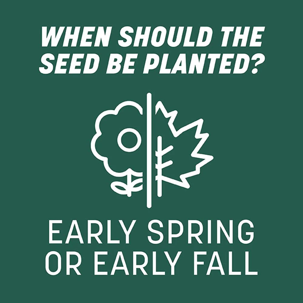 Pennington Smart Seed Sun and Shade Grass Seed and Fertilizer Mix - Image 3