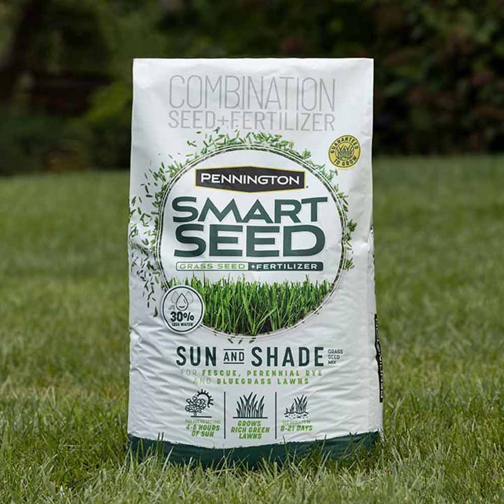 Pennington Smart Seed Sun and Shade Grass Seed and Fertilizer Mix - Image 5