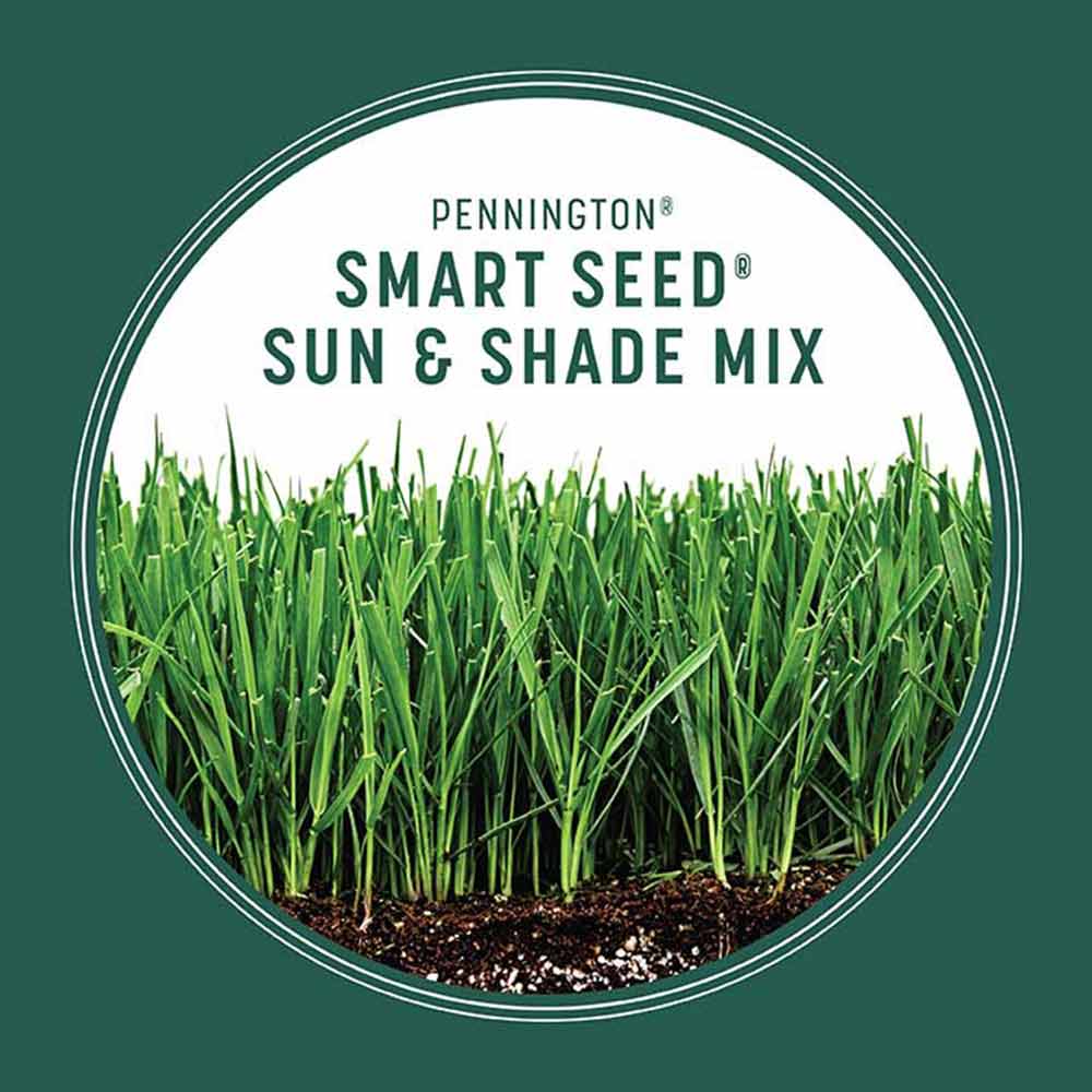 Pennington Smart Seed Sun and Shade Grass Seed and Fertilizer Mix - Image 9