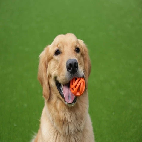Petmate Chuckit! Breathe Right Fetch Ball - Image 3