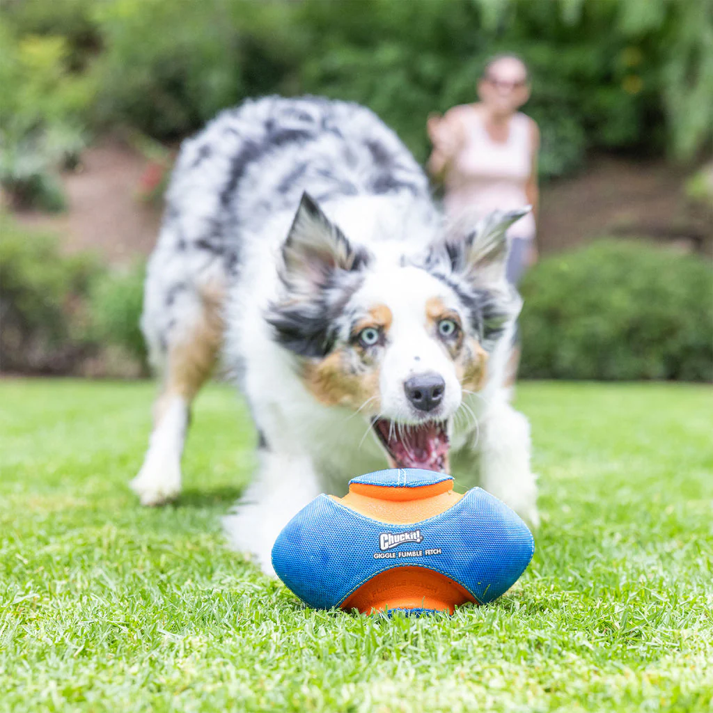 Petmate Chuckit! Giggle Fumble Fetch Dog Toy - Image 5