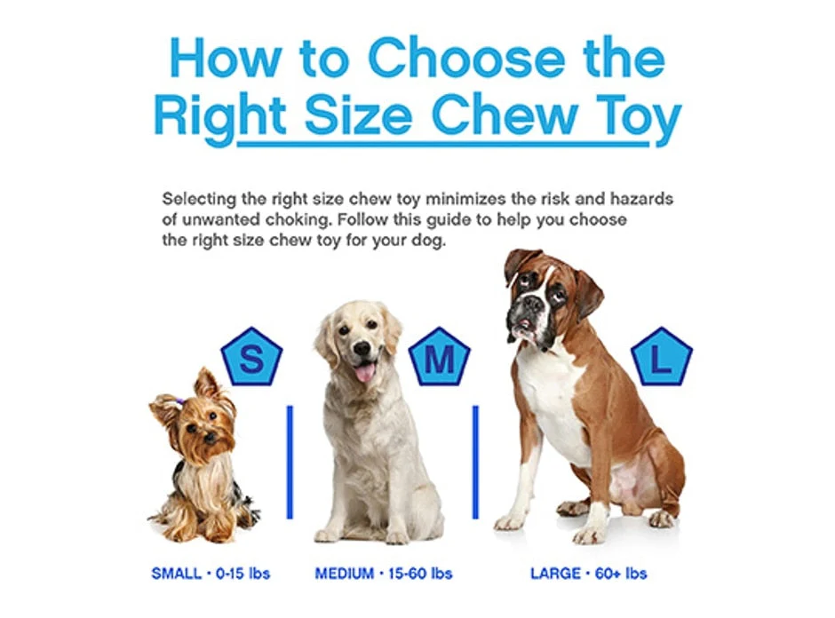 Petmate Chuckit! Rugged Bumper - Image 4