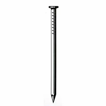 Prime Source 20D 4in. Hot Galvanized Common Nails