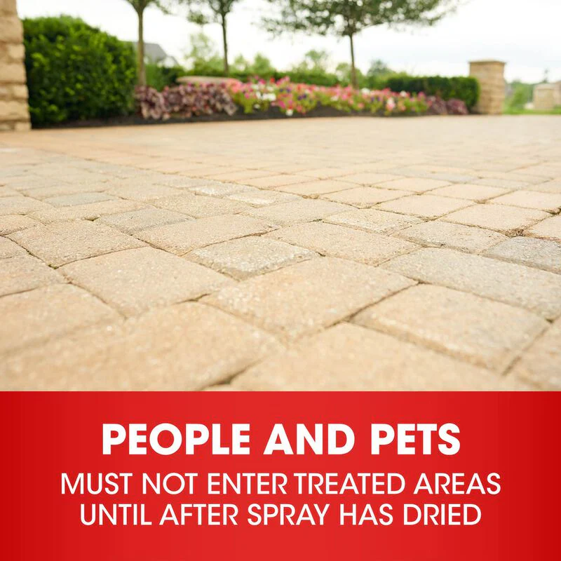 Roundup® Weed & Grass Killer₄ Concentrate - Image 8
