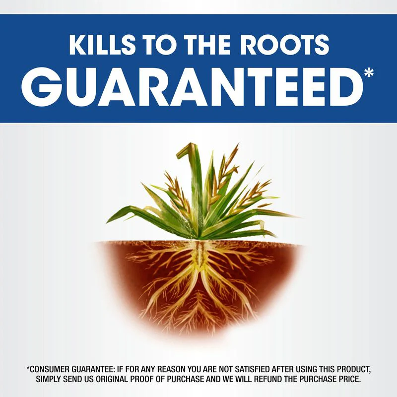 Roundup Weed & Grass Killer4 with Trigger Sprayer - Image 3