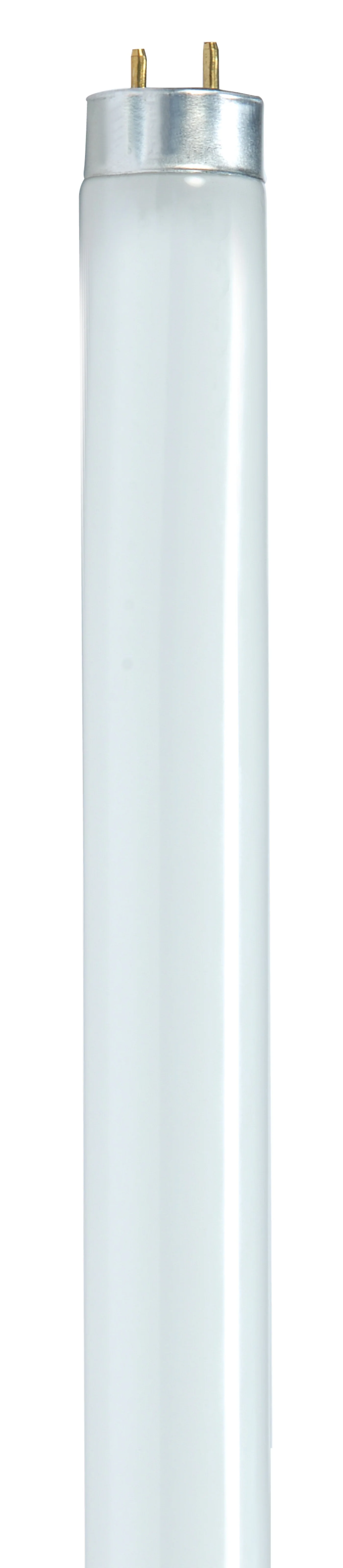 Satco Products S8406 F17T8/841/ENV