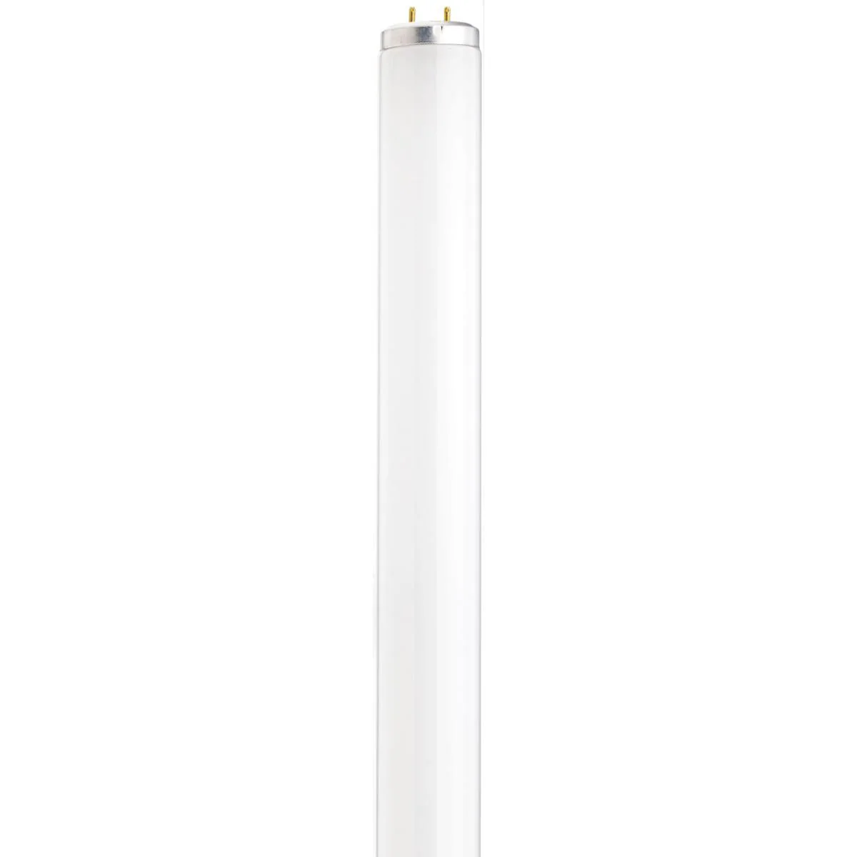 Satco S26566 F20T12/D