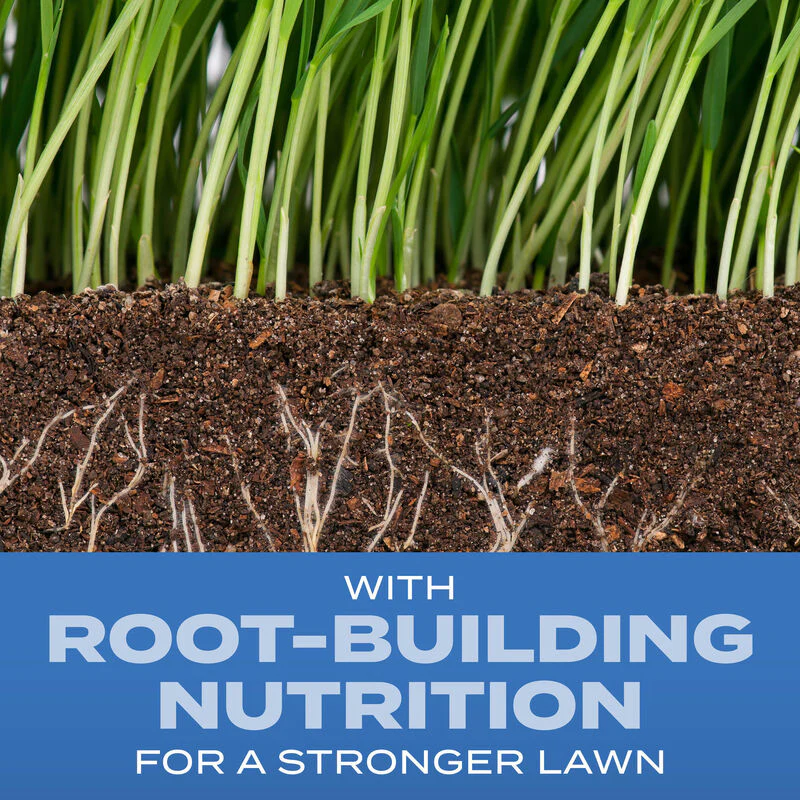 Scotts® Turf Builder® Grass Seed Sun & Shade Mix® - Image 6