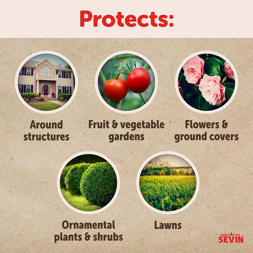 Sevin® Insect Killer Ready to Spray - Image 4