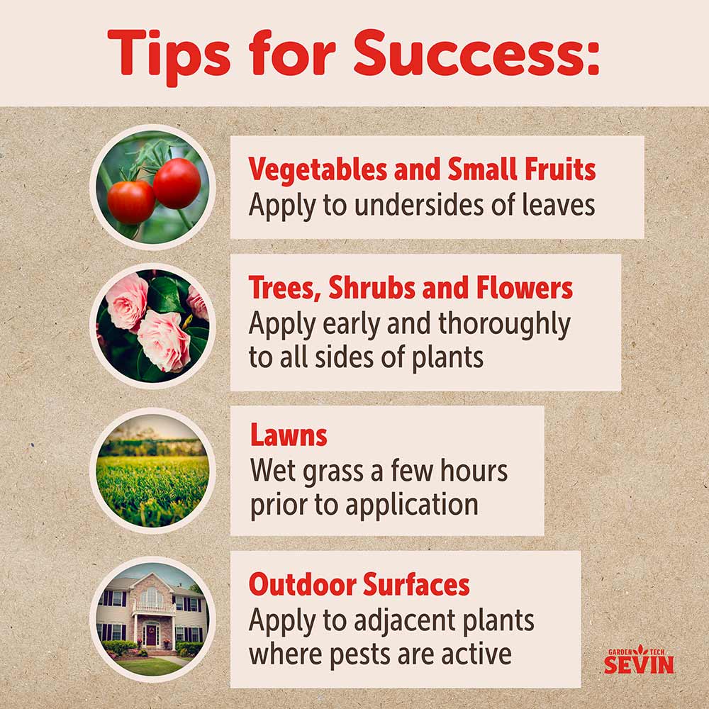Sevin® Insect Killer Ready to Spray - Image 6