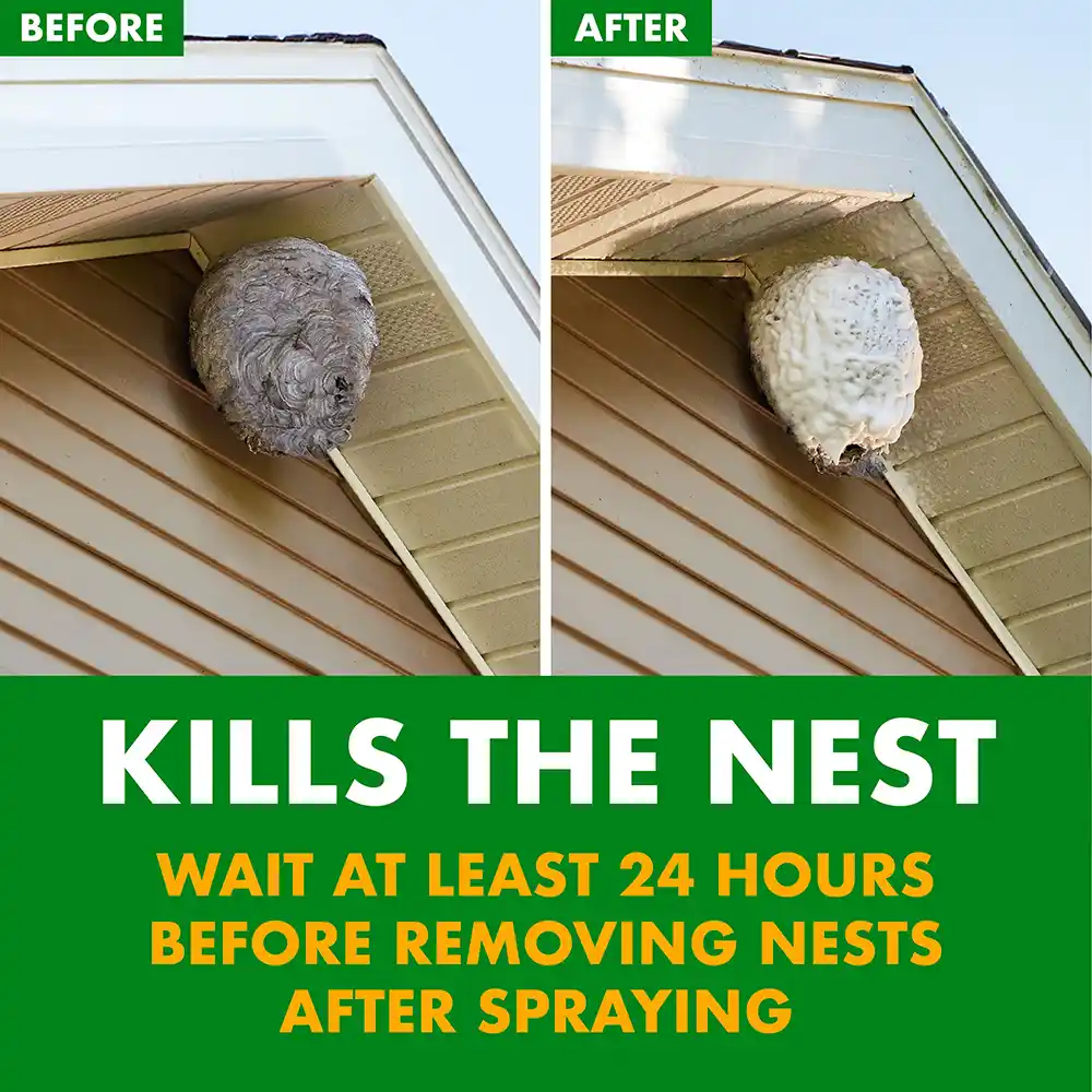 SPECTRACIDE Foaming Wasp & Hornet Killer - Image 4