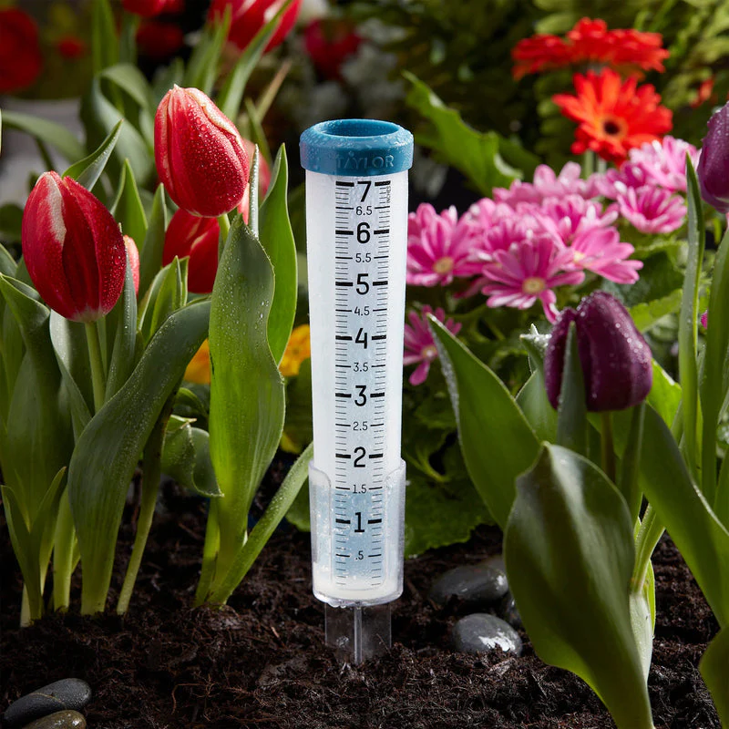 Taylor 7" Silicone Rain Gauge - Image 3
