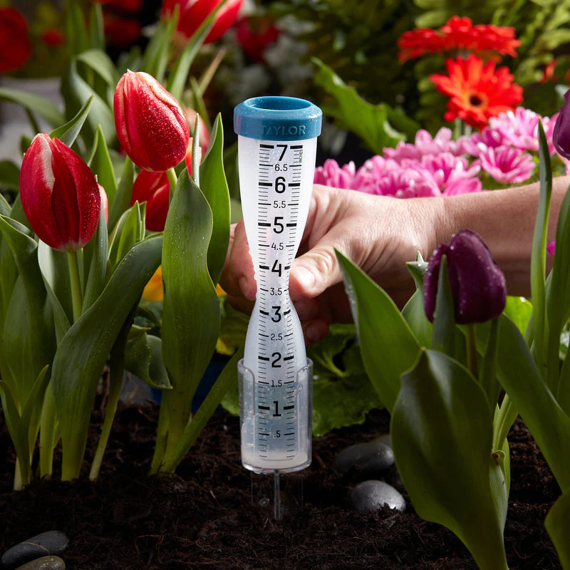 Taylor 7" Silicone Rain Gauge - Image 4
