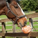 The Original Salt Company Pink Himalayan Salt Lick for Animals 100% Organic - Image 2