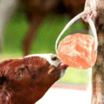 The Original Salt Company Pink Himalayan Salt Lick for Animals 100% Organic - Image 3