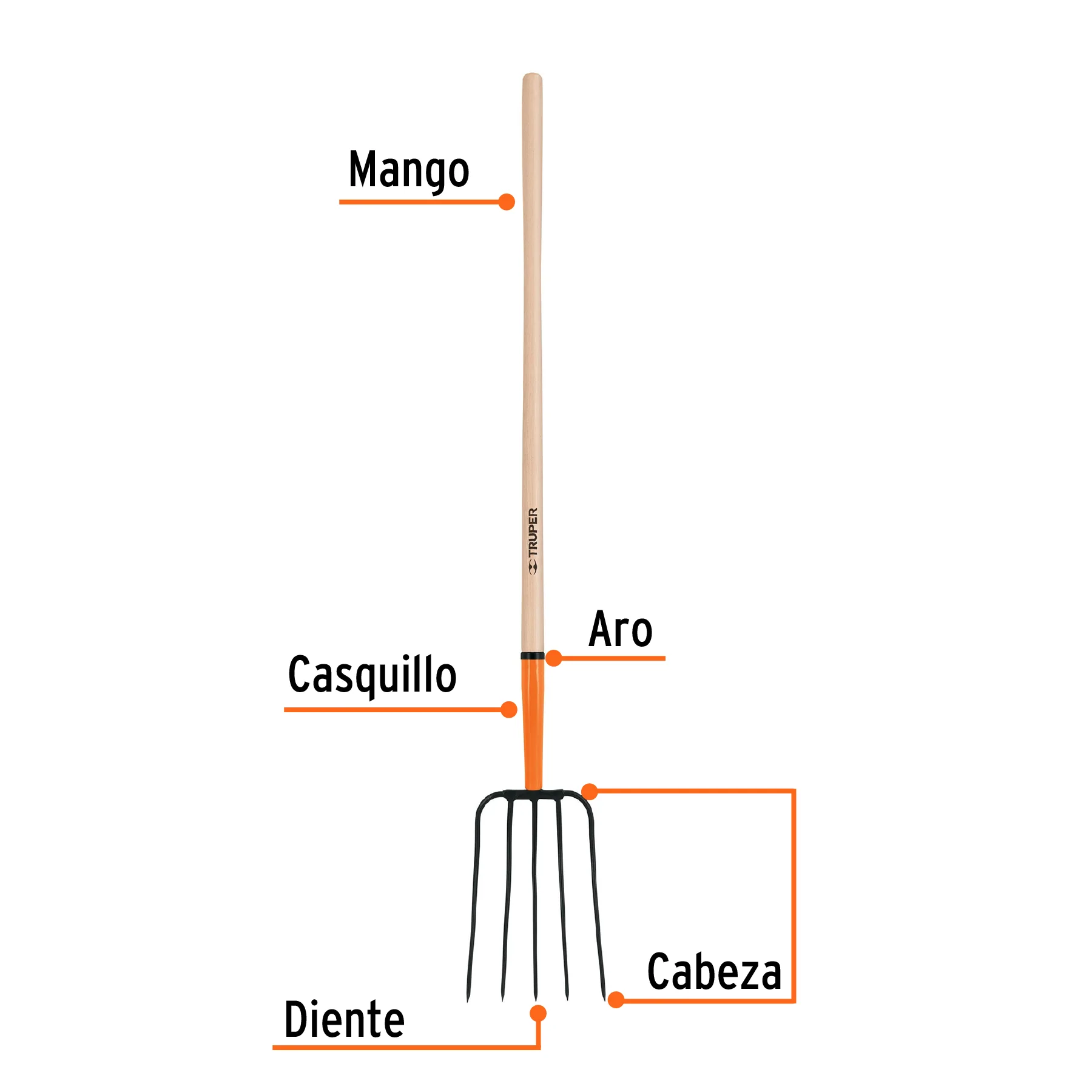 Truper ToolsStraw Pitchfork, 5 Tines, Long Handle 48" - Image 2